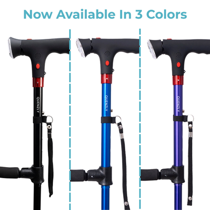 StandSecure Cane